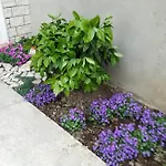 Visoka *